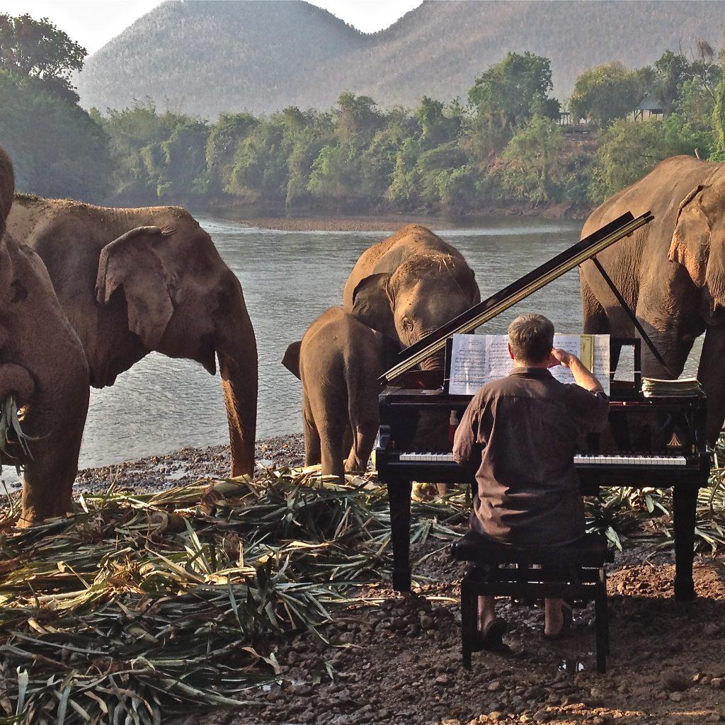 FEURICH, Paul Barton & Elephants (1)