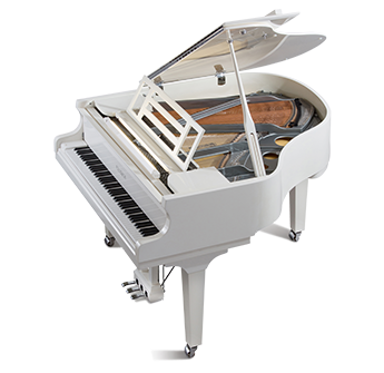 Como uno de los pocos pianos de cola de su tamaño (longitud de solo 162 cm) éste ofrece un sonido completo, un rango dinámico excepcional y una claridad fina incluso en los bajos.